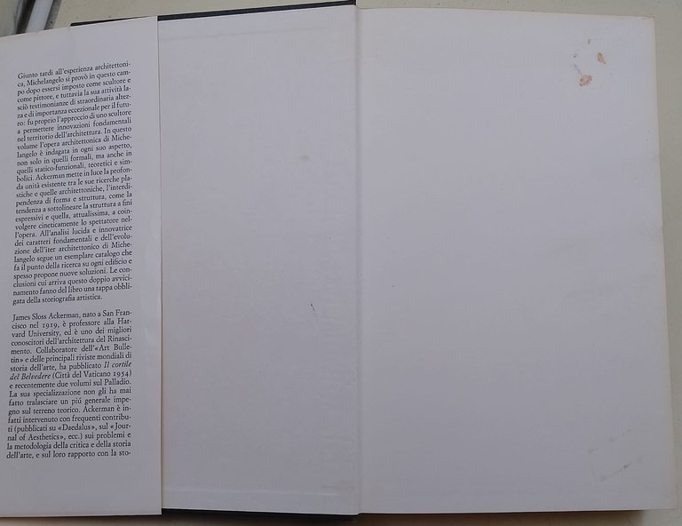 L'Architettura di Michelangelo