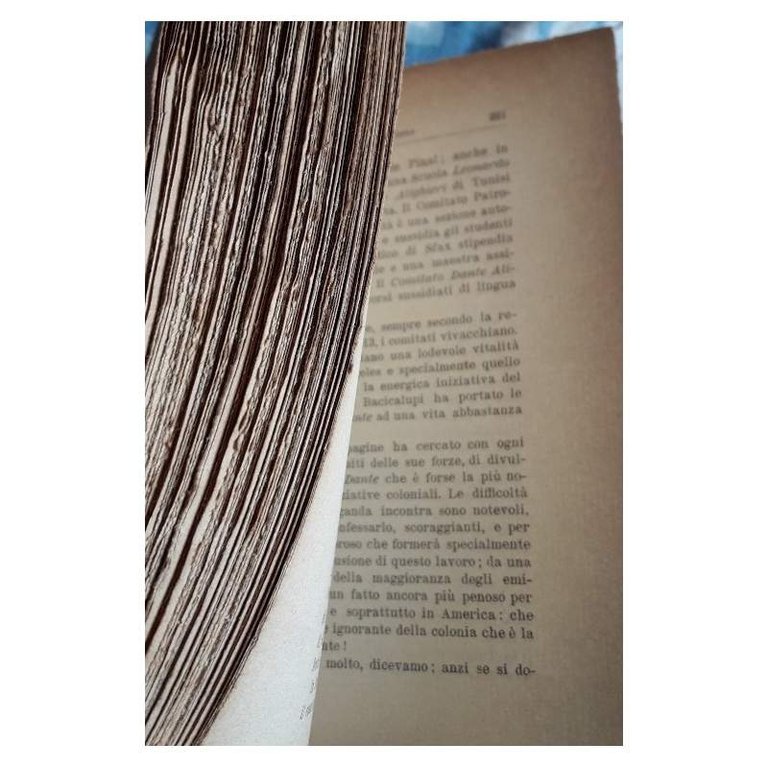 L'EMIGRAZIONE ITALIANA NEL PERIODO ANTE BELLICO(1918)