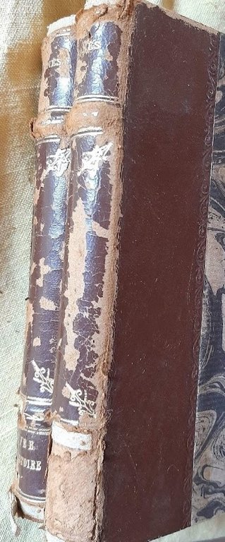 L'ENFER DE L'HISTOIRE-LES REPROUVES ET LES CALOMNIES- 2 VOLL.