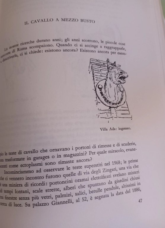 L' età del Cavallo