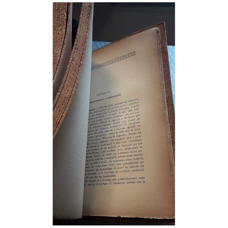 L'EVOLUZIONE DELLA VITA( 1906)