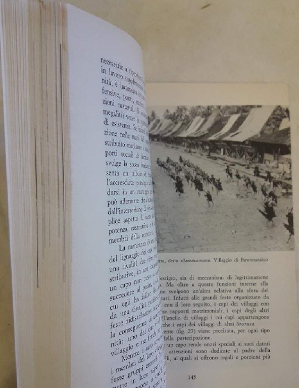 L'ISOLA DEGLI ANTENATI DI PIETRA-STRUTTURE SOCIALI E SIMBOLICHE DEI NIAS …