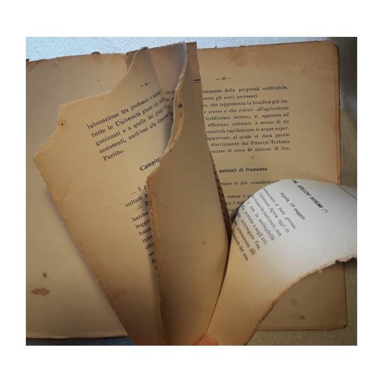 L'ITALIA DI MUSSOLINI E GLI ITALIANI NUOVI(1929)