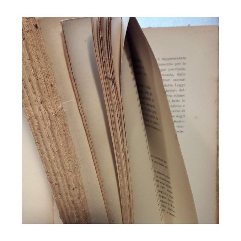 L'ITALIA DI MUSSOLINI E GLI ITALIANI NUOVI(1929)