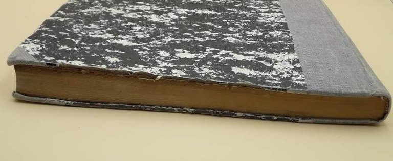 L'OSSERVATORE ROMANO-ANNATA COMPLETA 1981