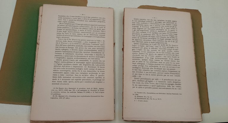 L'uomo attuale- una specie collettiva