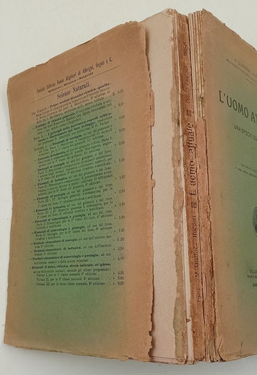 L'uomo attuale- una specie collettiva