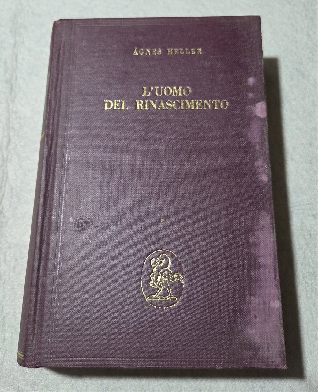 L'uomo del Rinascimento | Immagine principale