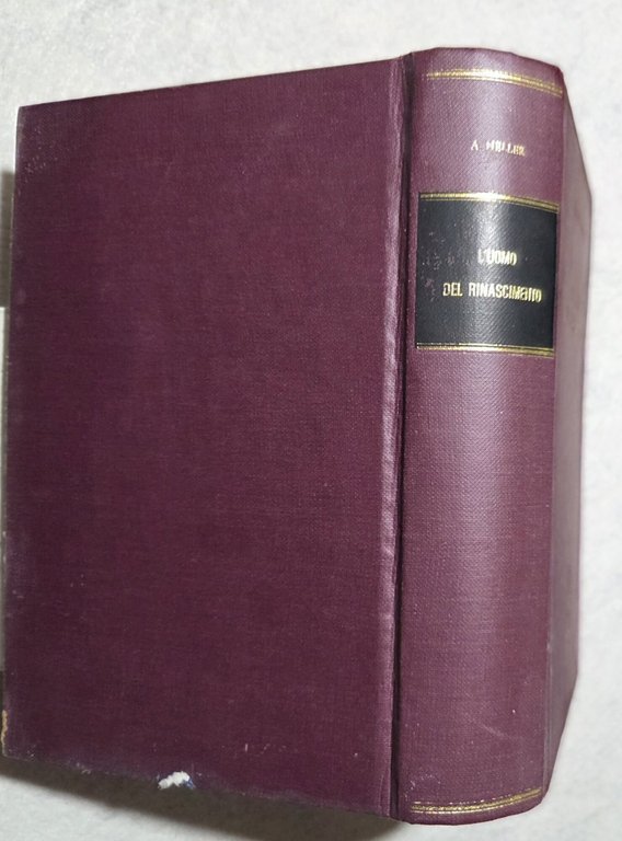 L'uomo del Rinascimento | Immagine Gallery 3