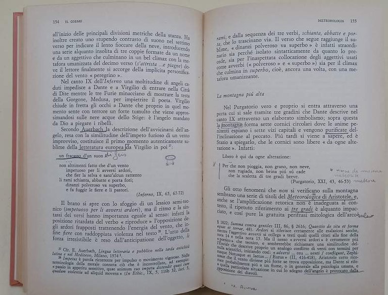 L'UOMO NEL COSMO-FILOSOFIA DELLA NATURA E POESIA IN DANTE(1984)