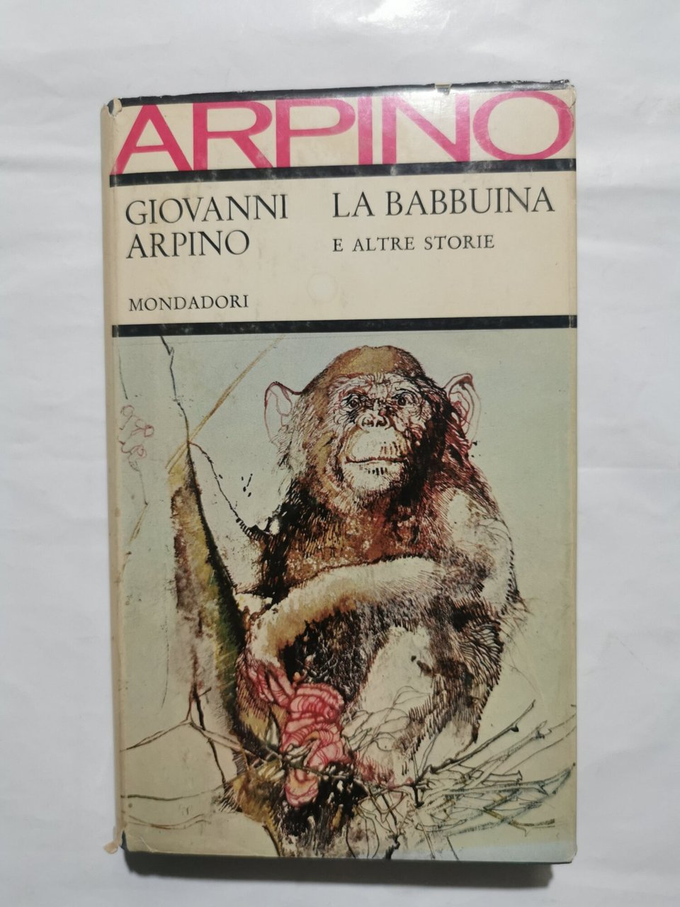La babbuina e altre storie