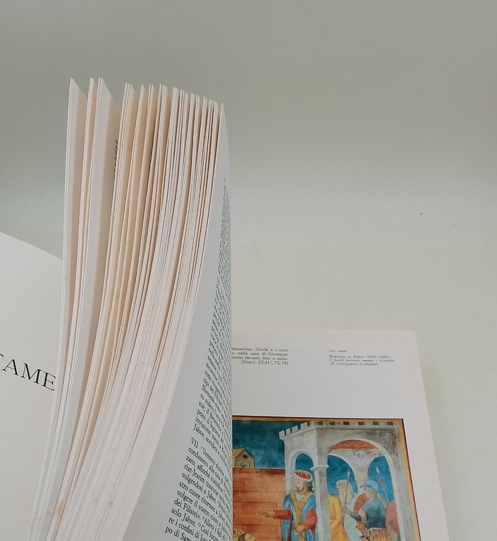 La Bibbia-Antico testamento