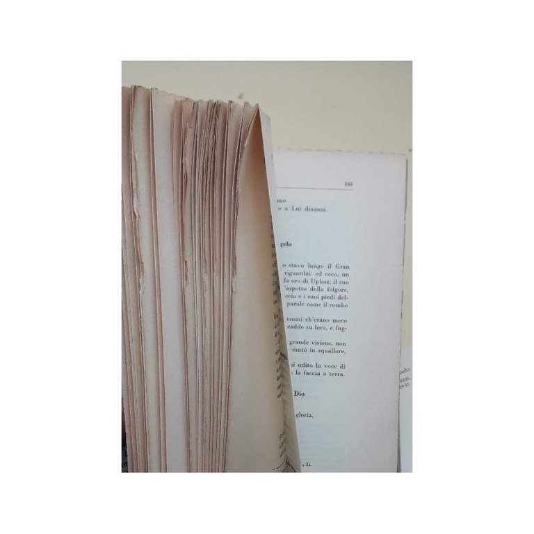 LA BIBBIA DEI LETTERATI-VERSIONI CRITICHE DAI TESTI EBRAICI ARAMAICI E …