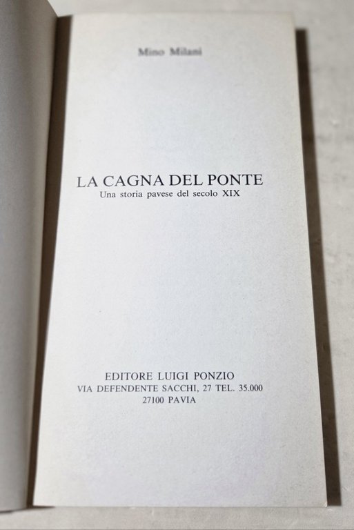 La cagna del ponte - Una storia pavese del secolo … | Immagine Gallery 2
