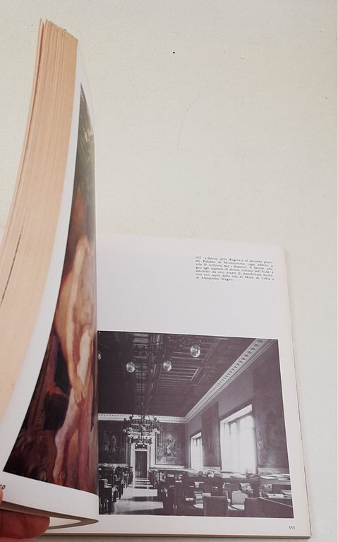 La Camera dei Deputati | Immagine Gallery 4