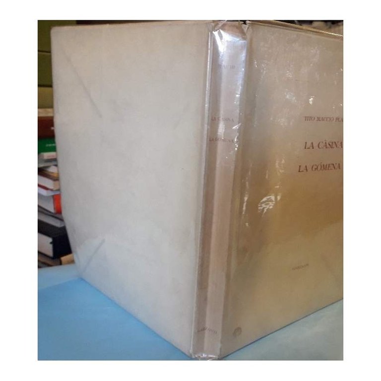 LA CASINA LA GOMENA (1952) | Immagine Gallery 4