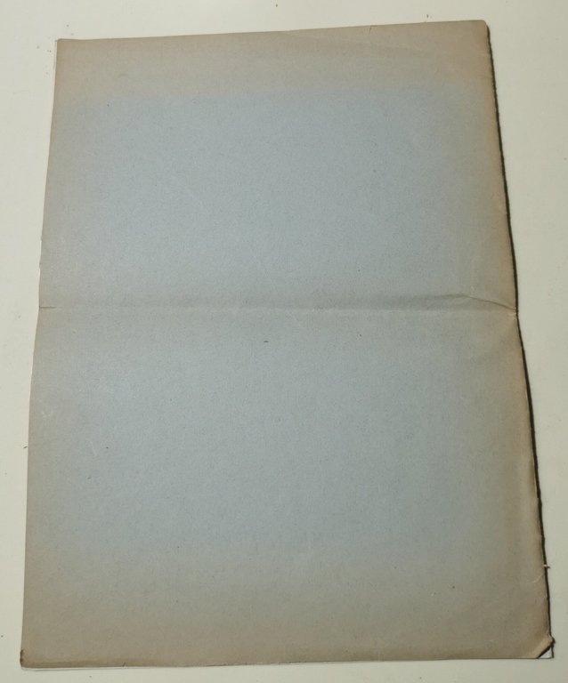 La colonizzazione del Neghev