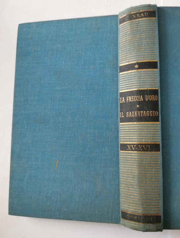 La freccia d'oro - Il salvataggio
