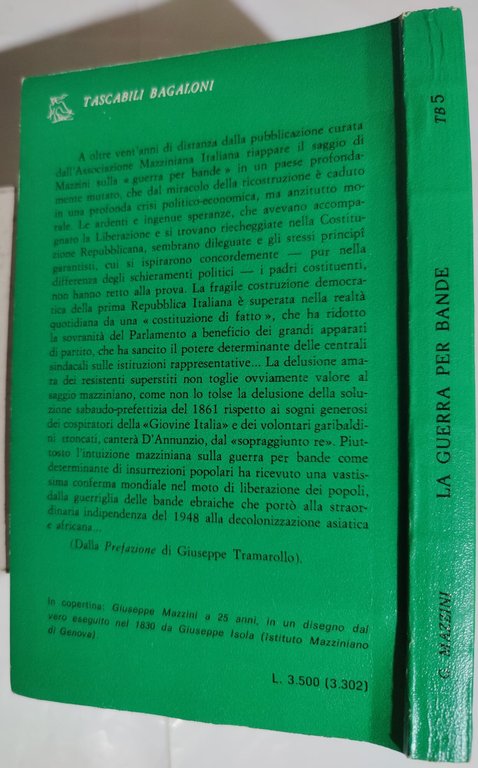 La guerra per bande ( insurrezione e strategia )