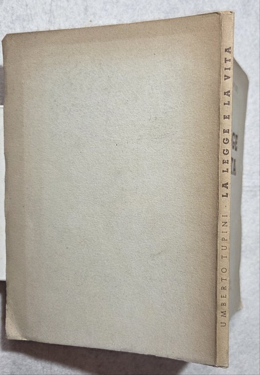 La legge e la vita | Immagine Gallery 3