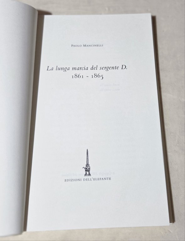 La lunga marcia del sergente D. 1861-1865