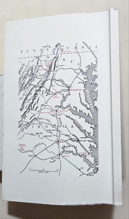 La lunga marcia del sergente D. 1861-1865