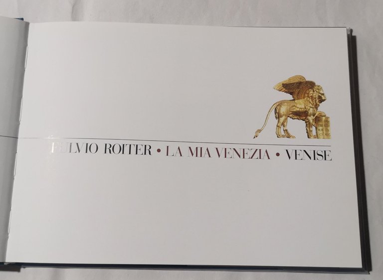 La mia Venezia