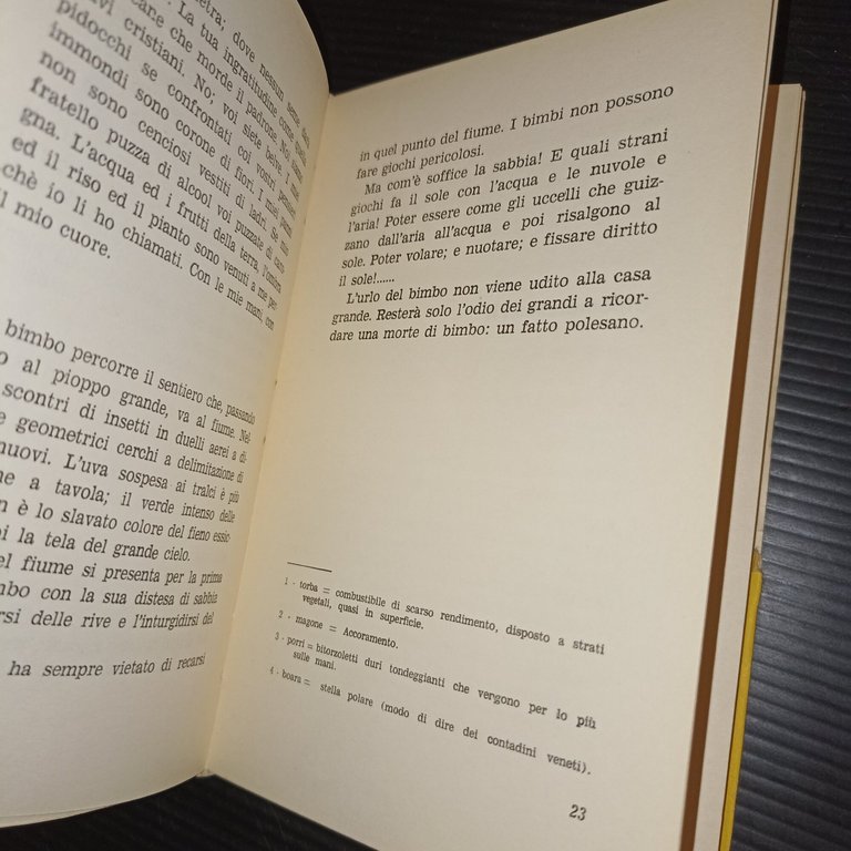 La pelle del geometra