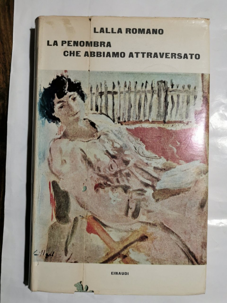 La penombra che abbiamo attraversato