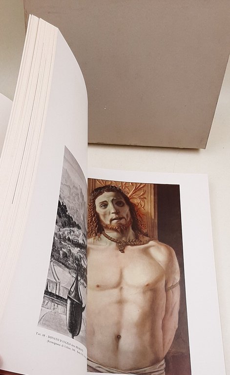 La Pinacoteca di Brera | Immagine Gallery 3