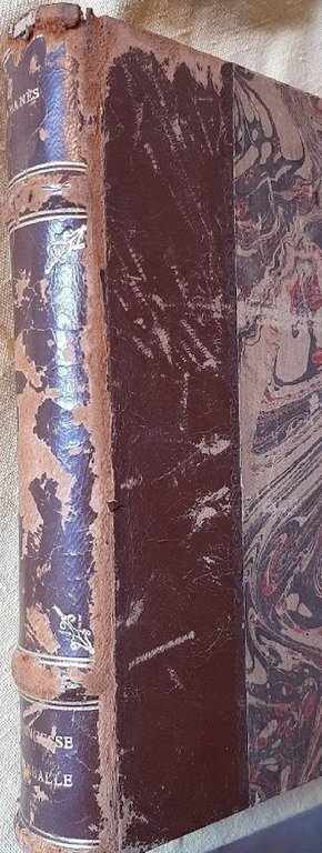 LA PRINCESSE DE LAMBALLE-INTIME