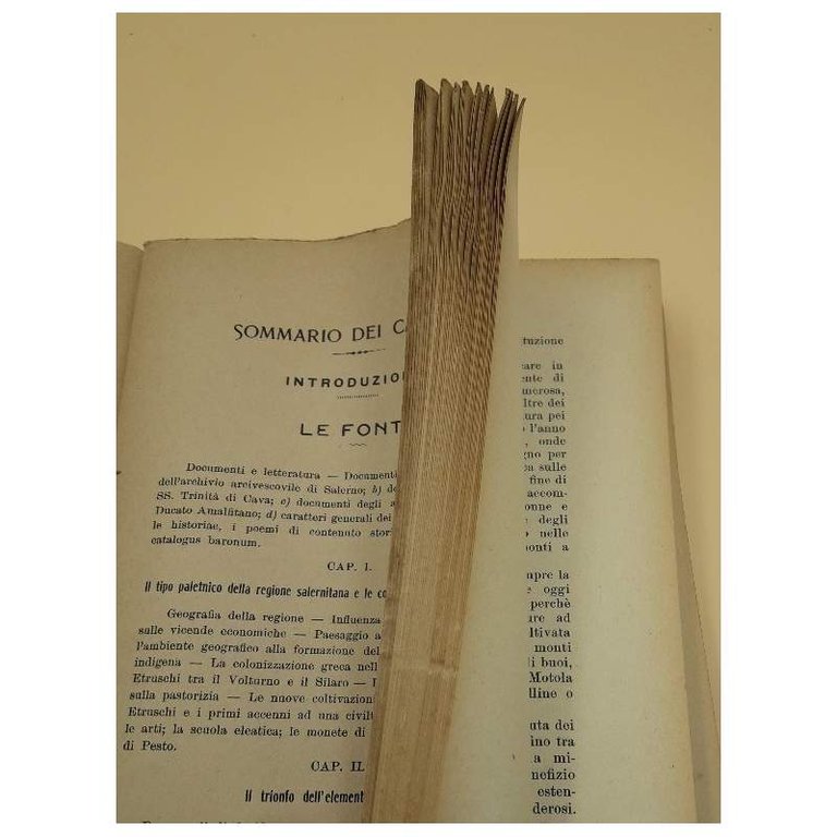 LA PROVINCIA DI SALERNO DAI TEMPI PIU' REMOTI AL TRAMONTO …
