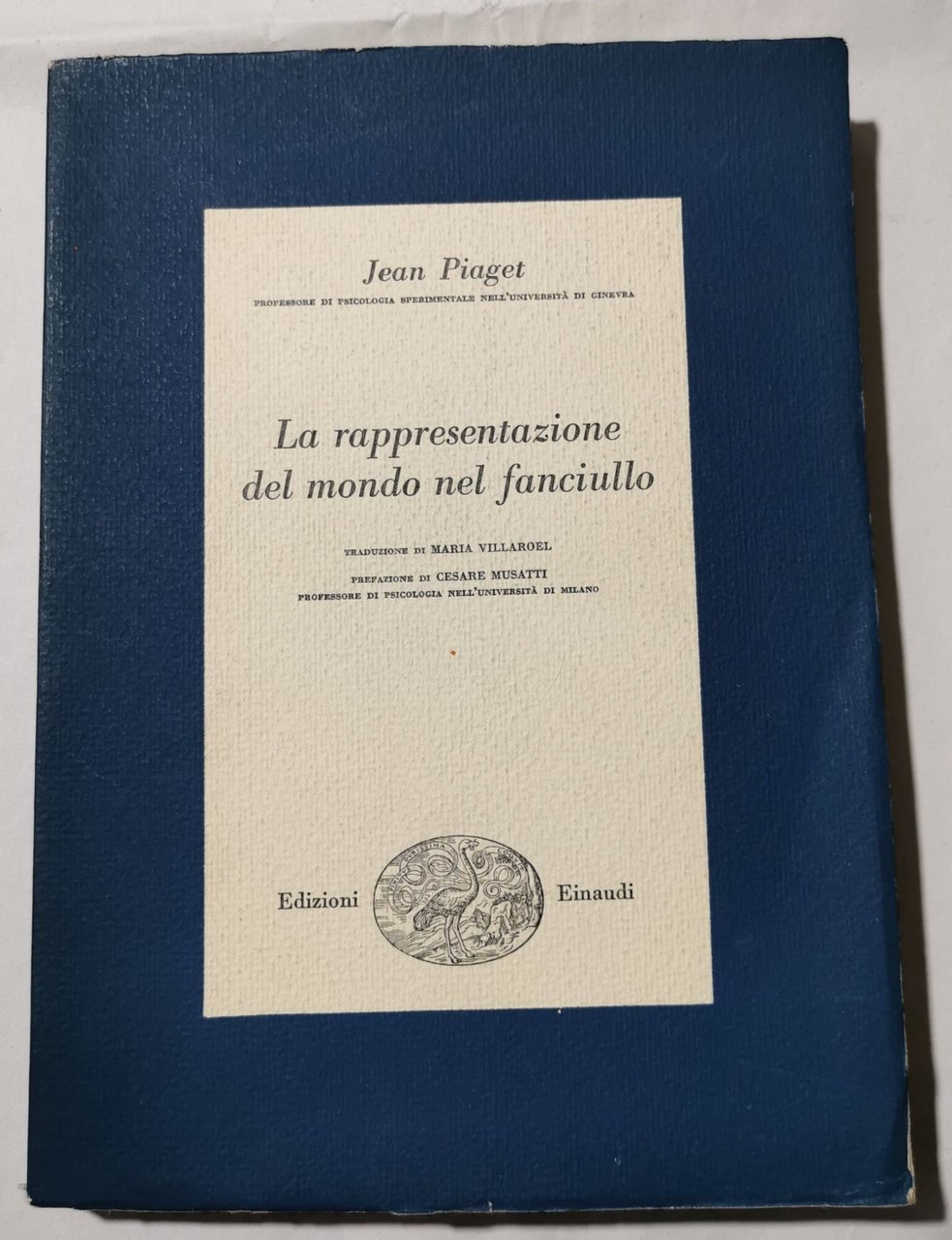 La rappresentazione del mondo nel fanciullo
