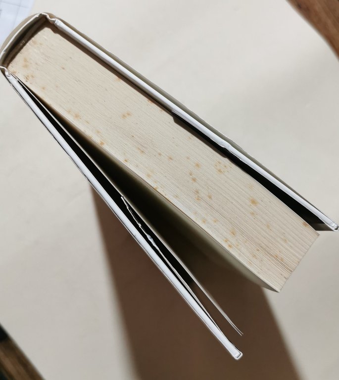 La rivale di Babilonia. Storia di Esnunna ai tempi di … | Immagine Gallery 4