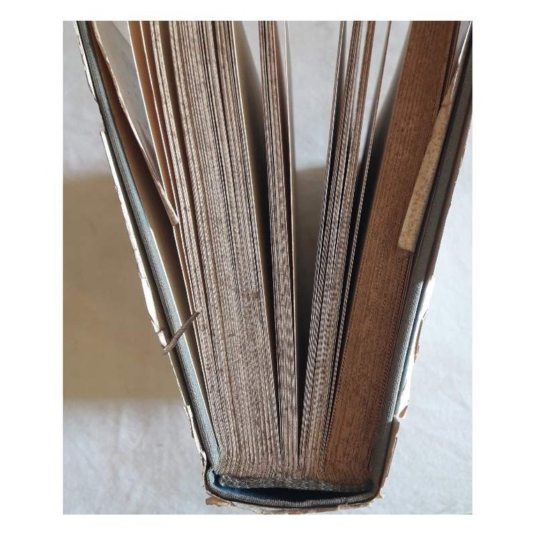 LA SCUOLA ITALIANA DAL 1870 AI GIORNI NOSTRI(1958) | Immagine Gallery 8