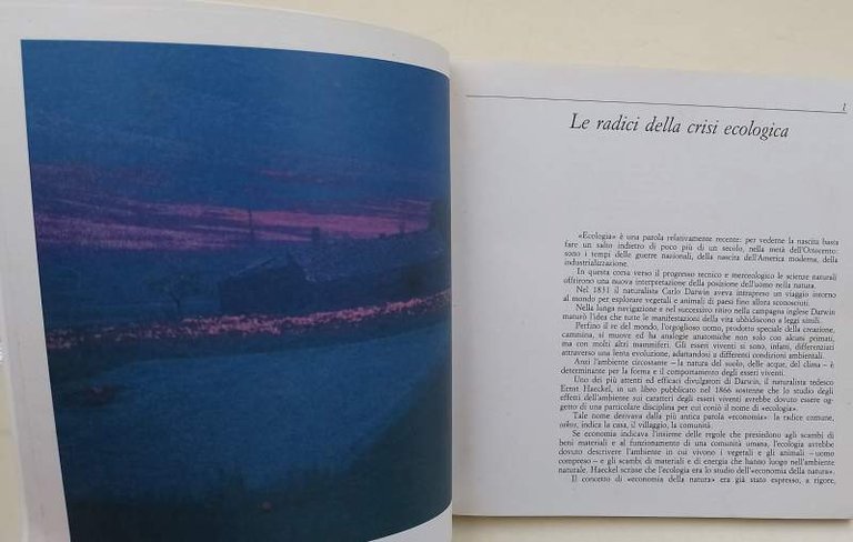 LA SOCIETA' DEI RIFIUTI(1990)