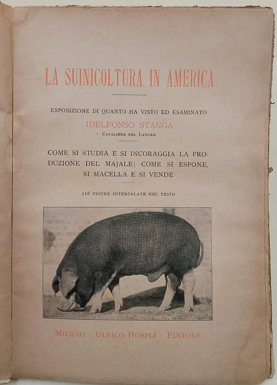 LA SUINICOLTURA IN AMERICA(ANNI '20)