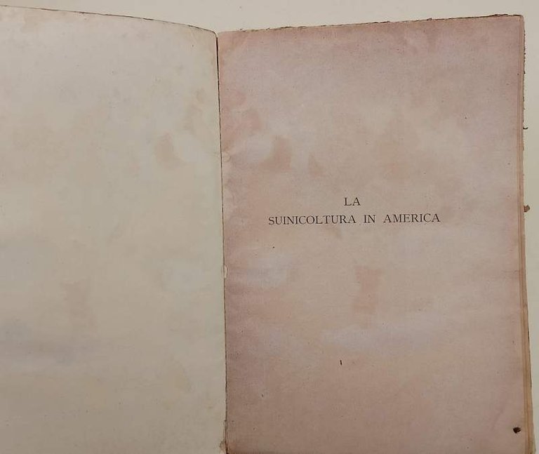 LA SUINICOLTURA IN AMERICA(ANNI '20)