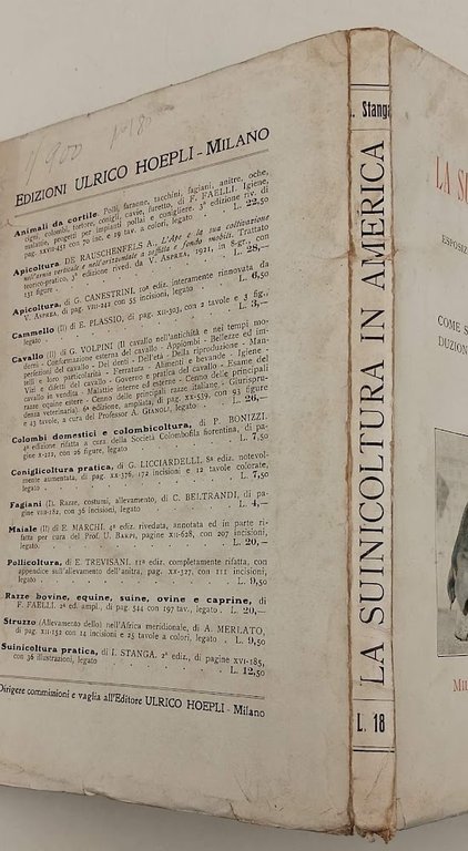 LA SUINICOLTURA IN AMERICA(ANNI '20)