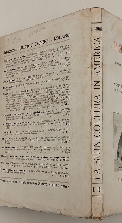 LA SUINICOLTURA IN AMERICA(ANNI '20)