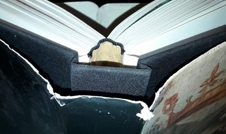 LA TERRA DEI MUSEI-paesaggio arte storia del territorio senese (2006)