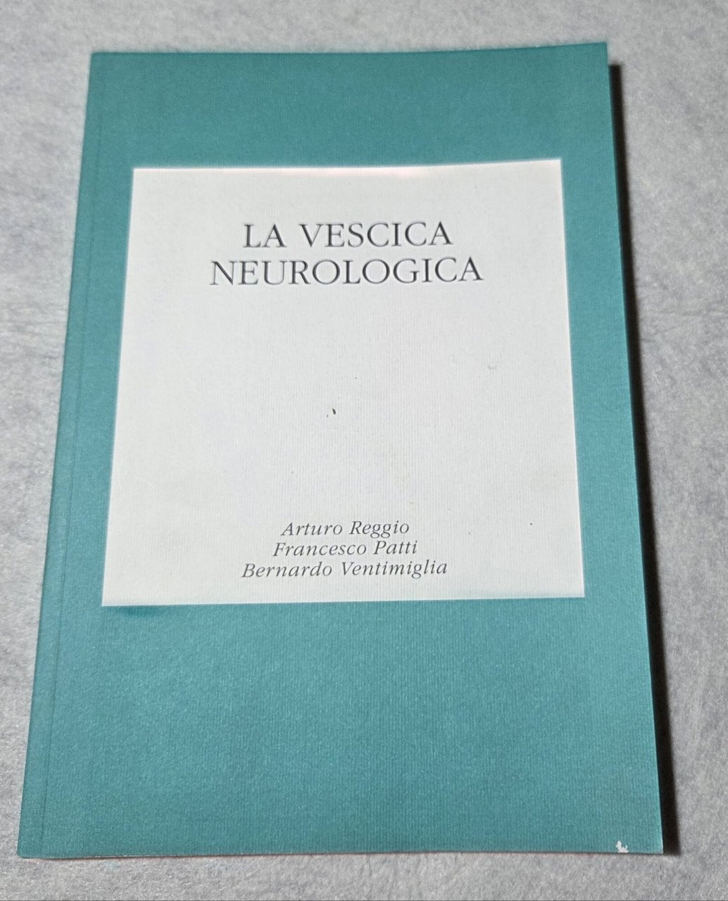 La vescica neurologica | Immagine principale