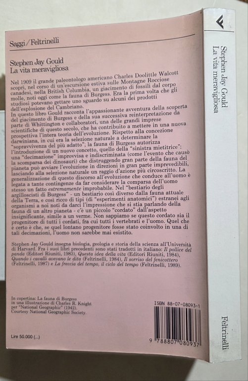 La vita meravigliosa. I fossili di Burgess e la natura …
