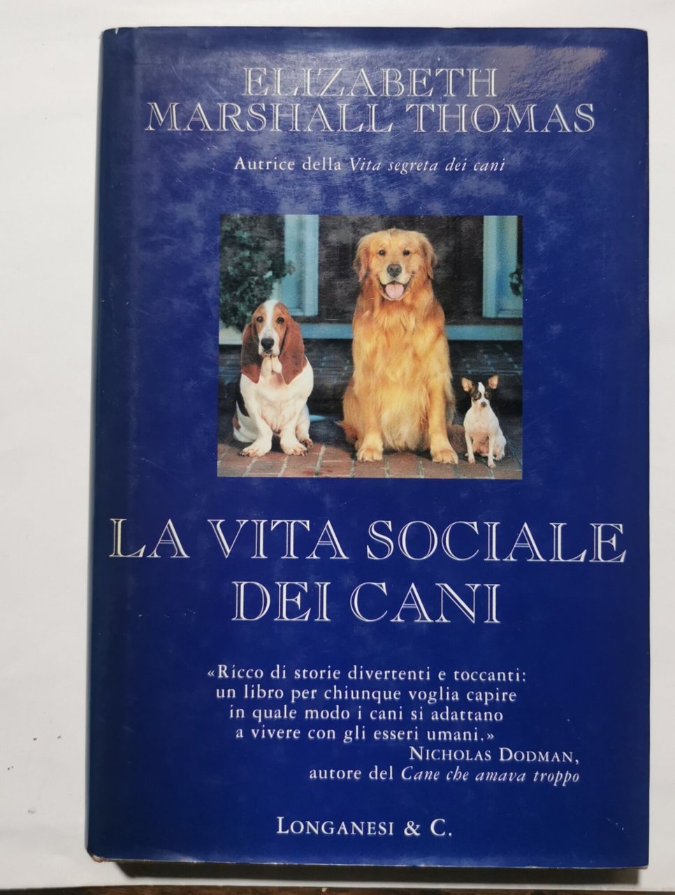 La vita sociale dei cani