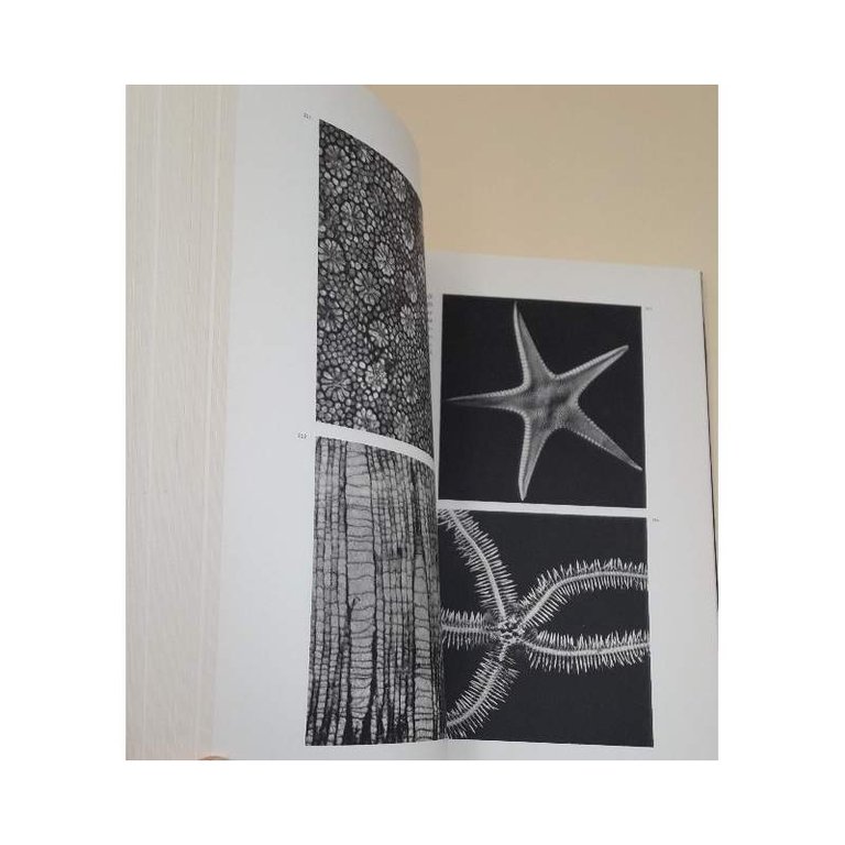 LA VITA SOTTO IL MICROSCOPIO(1965)