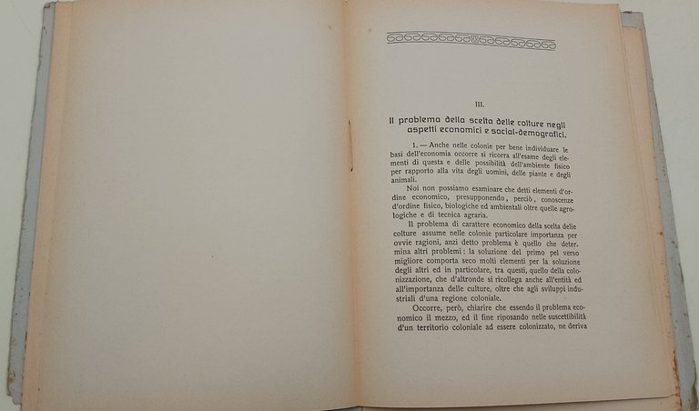 Le Basi dell'Economia Coloniale e la Colonizzazione