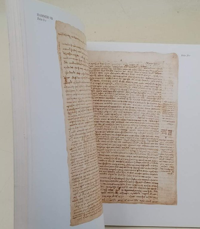LE CODEX HAMMER DE LEONARD DE VINCI-LES EAUX, LA TERRE, …