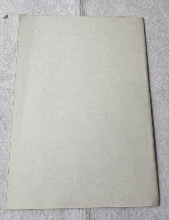 Le dimensioni del problema palestinese nel 1967 | Immagine Gallery 3