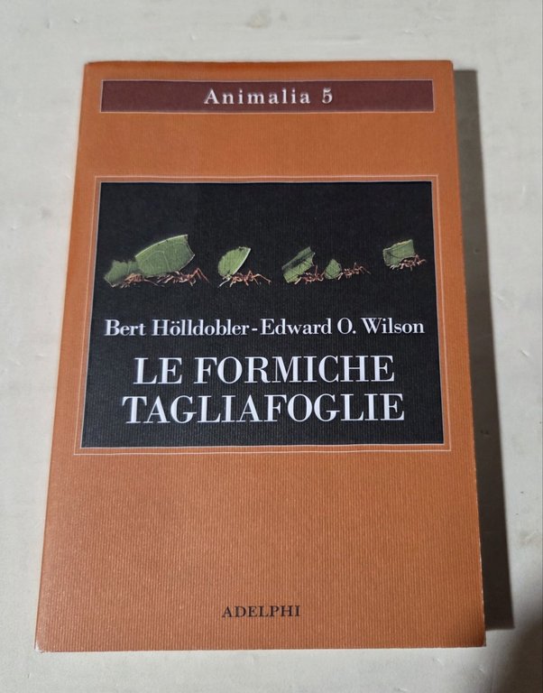 Le formiche tagliafoglie. La conquista della civiltà attraverso l'istinto | Immagine Gallery 1