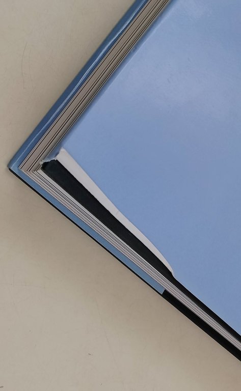 Le maioliche cinquecentesche di castelli-una grande stagione artistica ritrovata